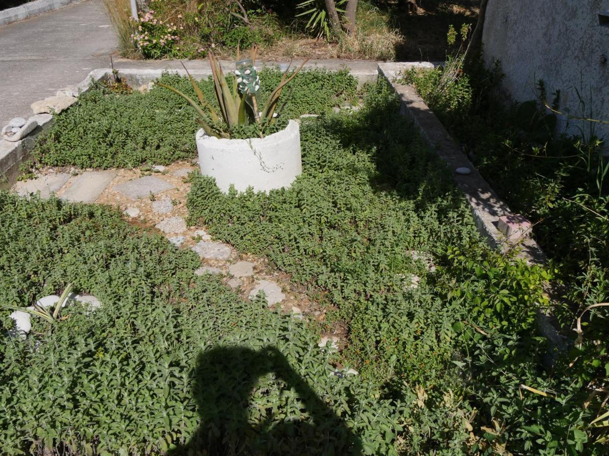 Helios-Rhodos-Apartments Koskinou  المظهر الخارجي الصورة